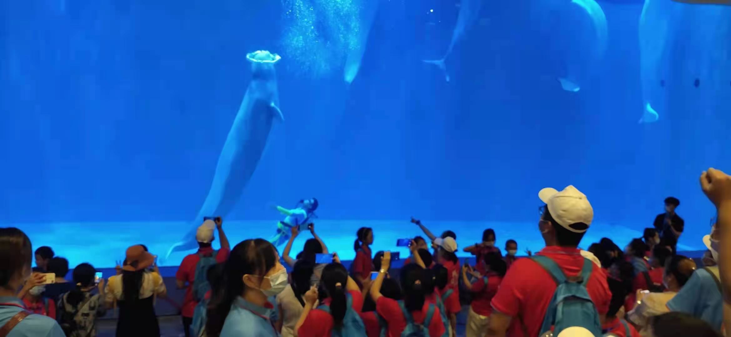 微信图片_202107311234579.jpg